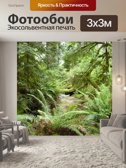 Фотообои Папоротник