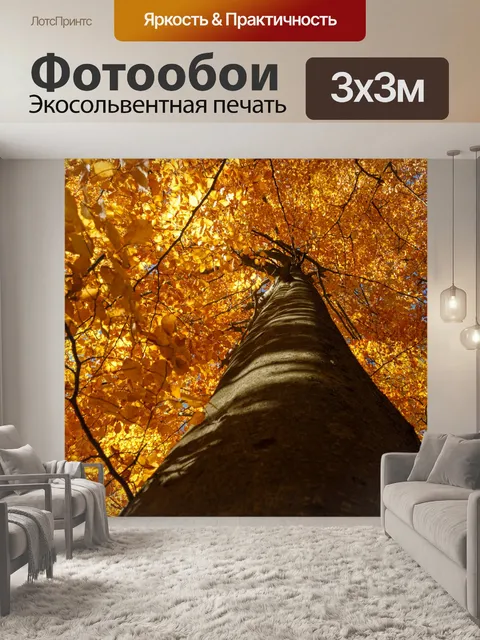 Фотообои Бук осенью