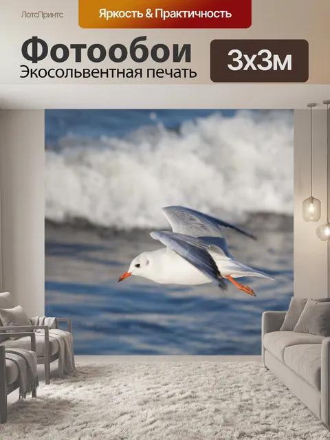Фотообои Чайка