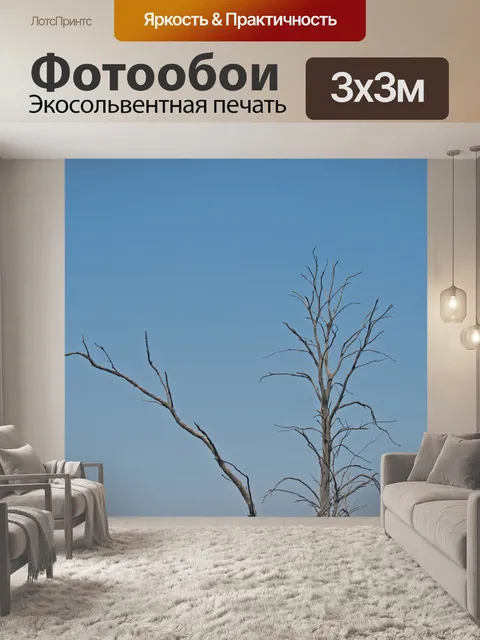 Фотообои Сухие ветки на фоне неба