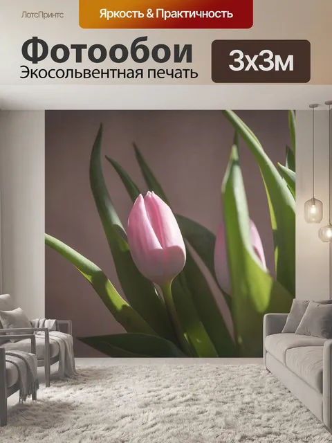Фотообои Тюльпан