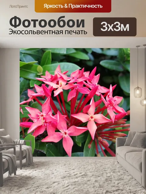 Фотообои Сад