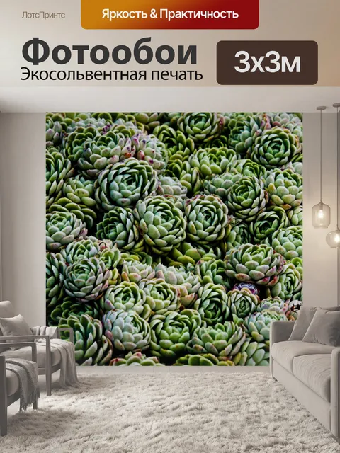 Фотообои Teal и розовый сочные