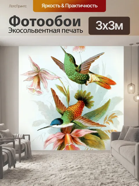 Фотообои Колибри птица винтажное искусство