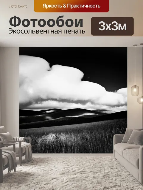 Фотообои черно-белый с изображением дальних холмов