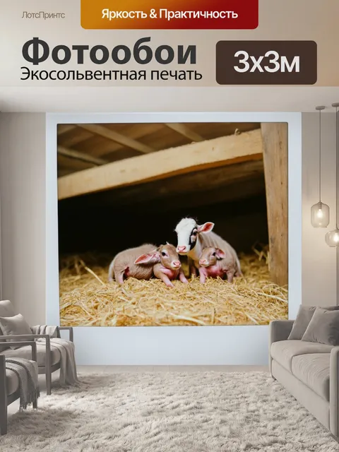 Фотообои животные в стиле полароидная фотография