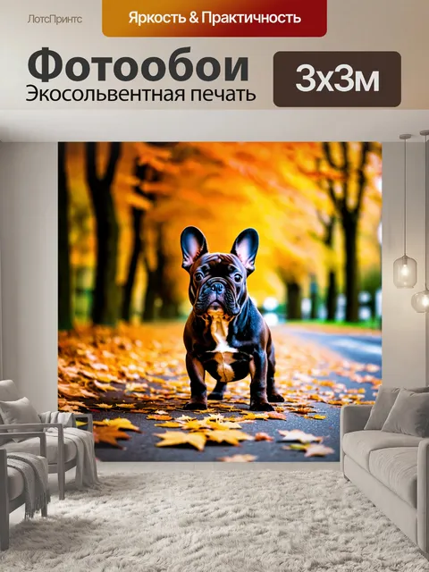 Фотообои изображение французского бульдога на улице в осенний день, окруженного разноцветными листьями