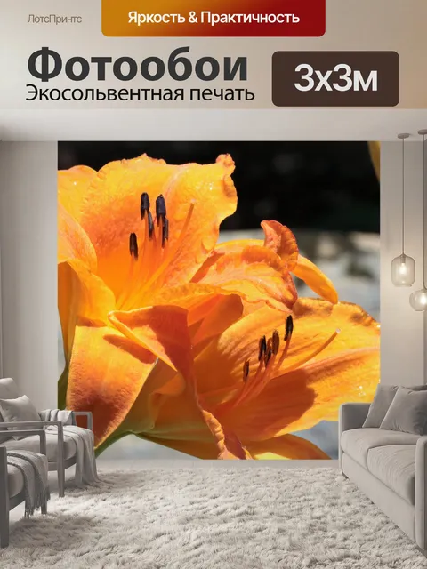 Фотообои Две оранжевые лилии дня крупным планом