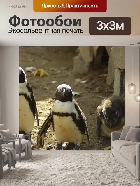Фотообои Животное