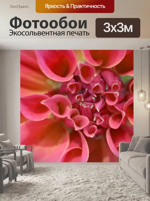 Фотообои Далия крупным планом 1
