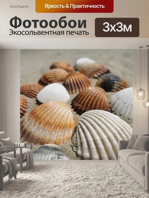 Фотообои Ракушки