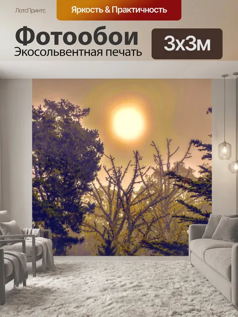 Фотообои Желтый туманный лес