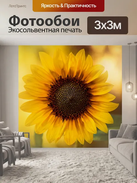 Фотообои Подсолнечник макро фото