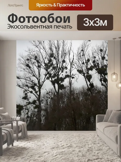 Фотообои Омела