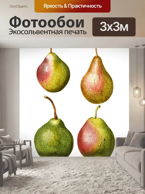 Фотообои Плоды груши винтажные