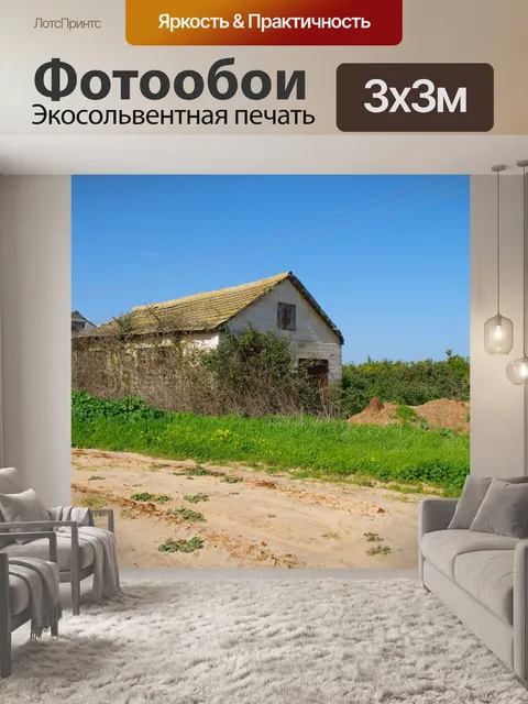 Фотообои Заброшенный дом в стране