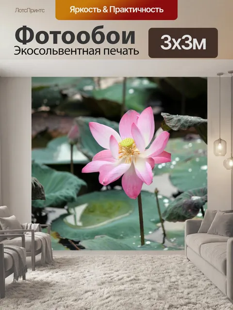 Фотообои выцветшие цветок лотоса в цвету, розовый