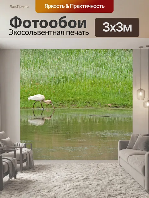 Фотообои Белая африканская колпица в плотине