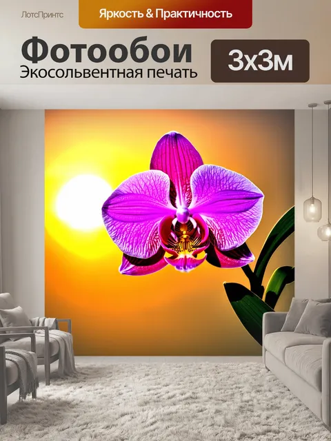 Фотообои представь себе невероятную орхидею, цветок которой медленно распускается на фоне яркого заката