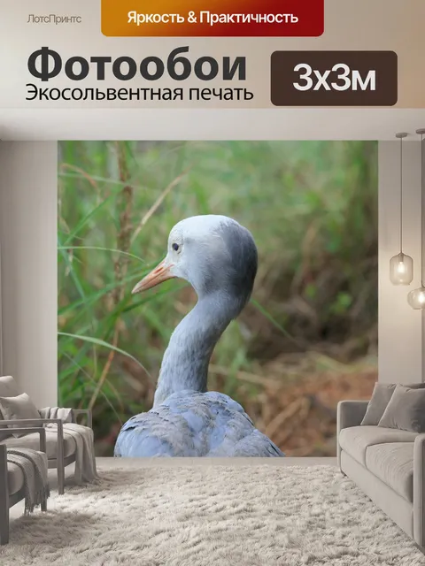 Фотообои синий кран в святилище