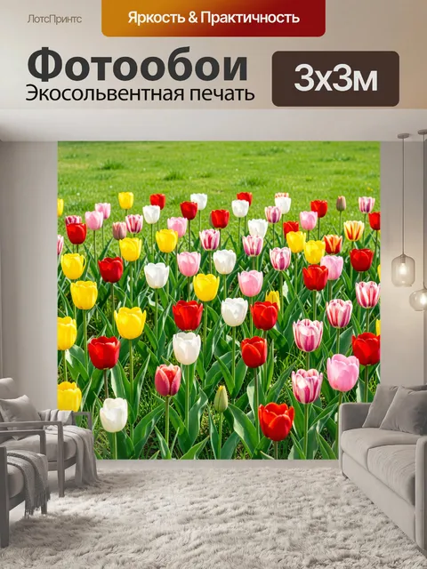 Фотообои Разноцветные тюльпаны на зеленом лугу