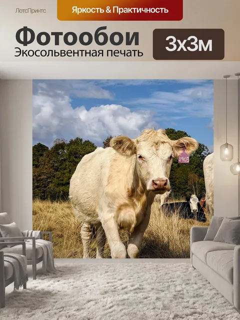 Фотообои Белая корова