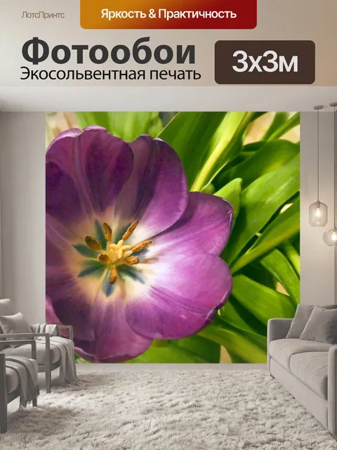 Фотообои Картина маслом тюльпана