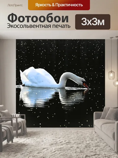 Фотообои Птицы