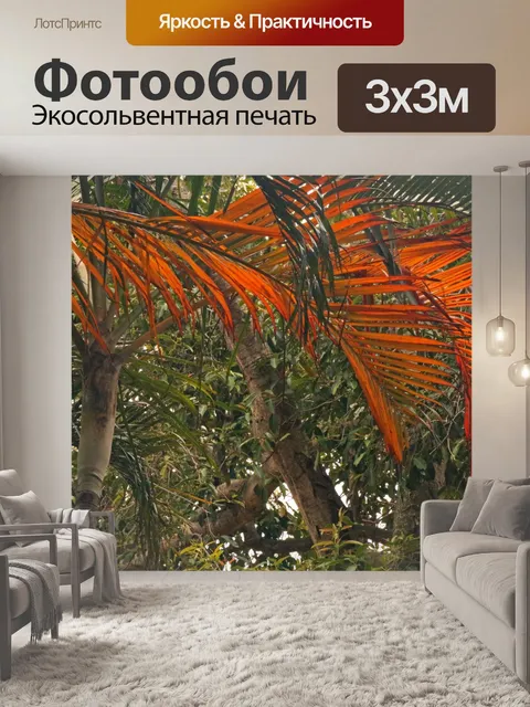 Фотообои пожелтевшие пальмовые листья