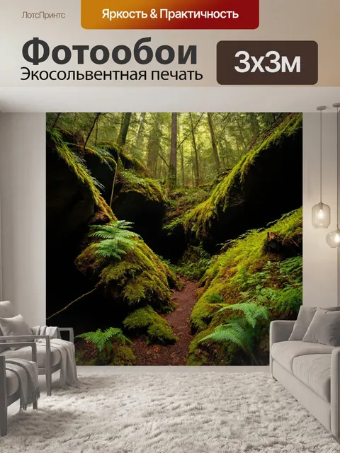 Фотообои лес с глубокими оврагами и укромными уголками, с мхом и папоротниками вокруг