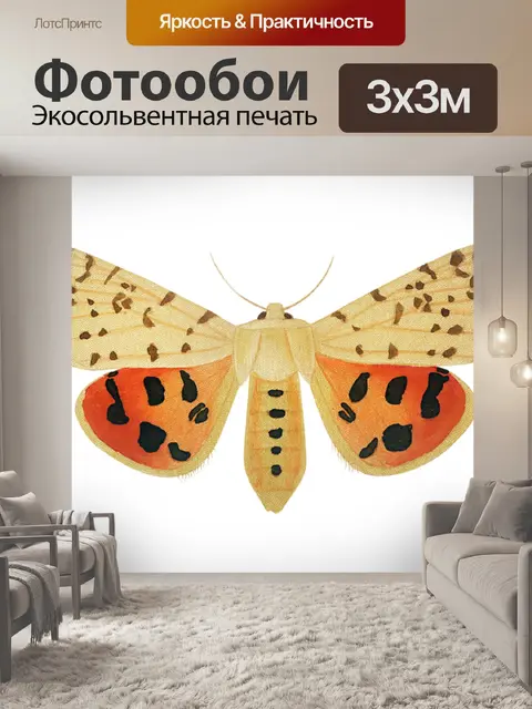 Фотообои Клипарт Бабочка