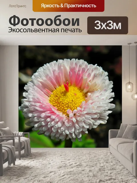 Фотообои Дейзи