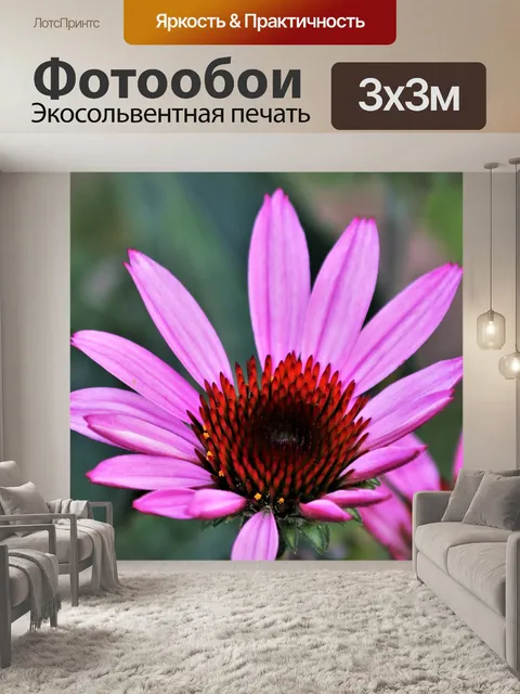 Фотообои Розовый конусообразный крупный план 2