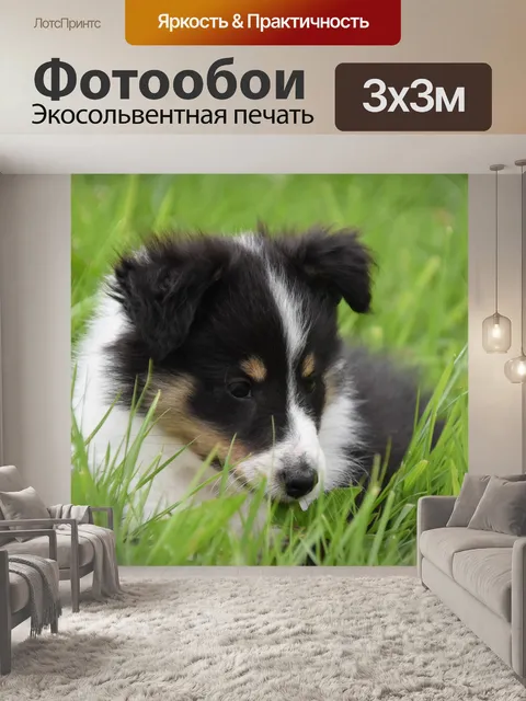 Фотообои Щенок