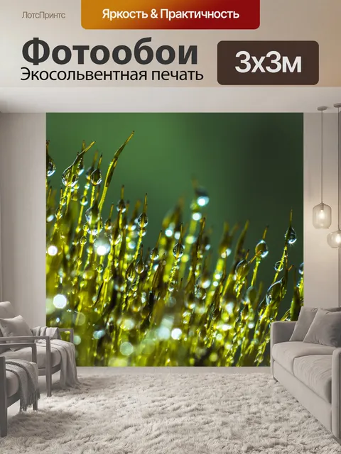 Фотообои Капли воды на мох
