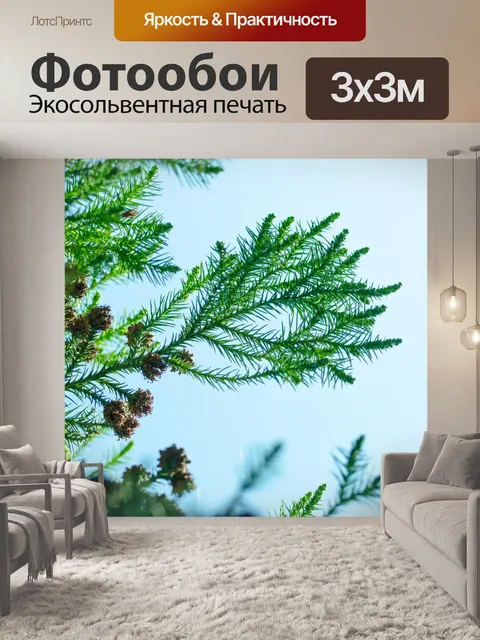 Фотообои Зеленая ветка иглы