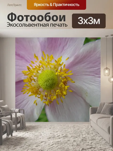 Фотообои Цветок