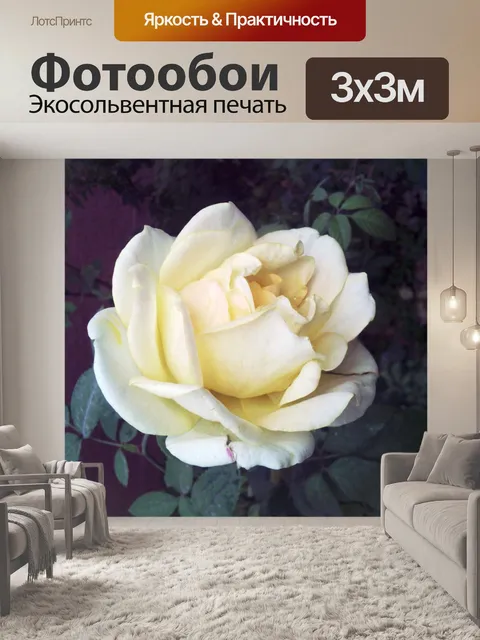 Фотообои Цветок