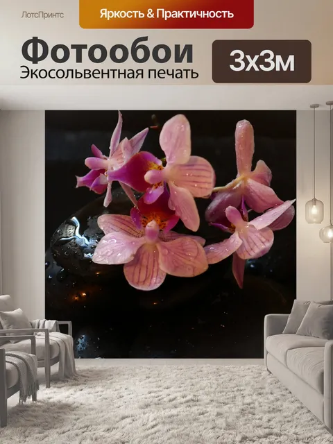 Фотообои Орхидея