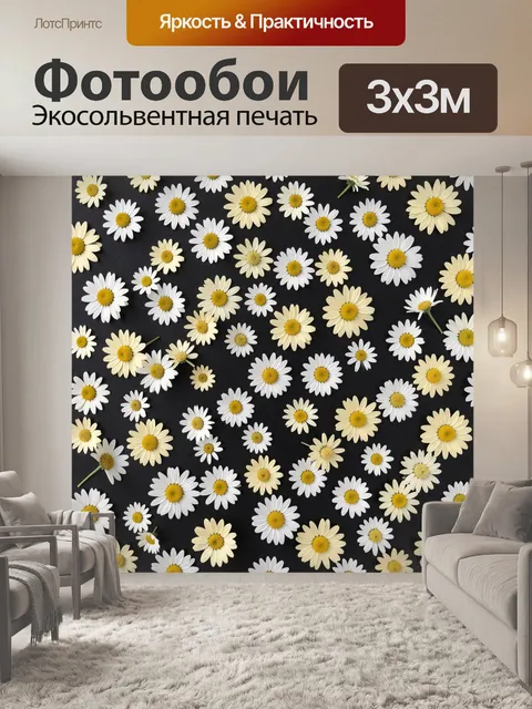 Фотообои Ромашки в черном цвете