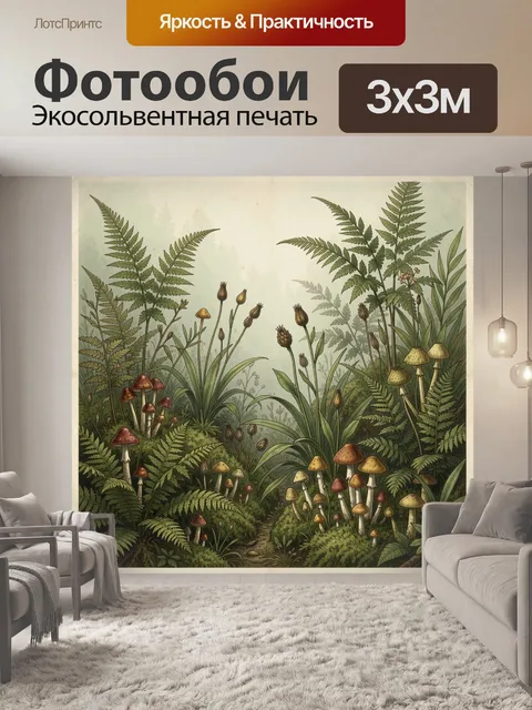 Фотообои Лесная поляна с грибами и папоротниками