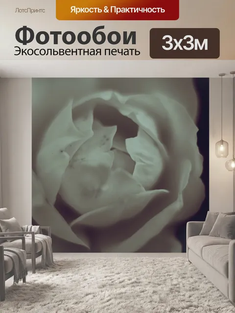 Фотообои Белая роза