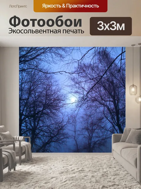 Фотообои Лесные деревья луна ночь
