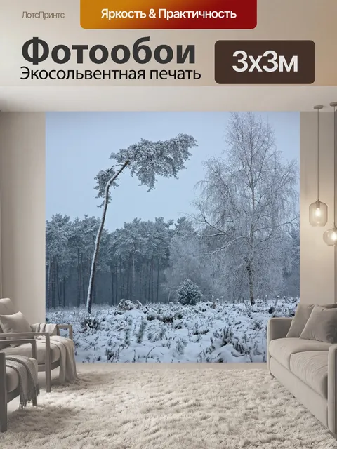 Фотообои Зимняя сказка