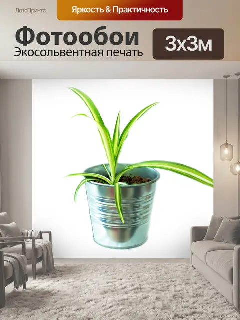 Фотообои Зеленые растения
