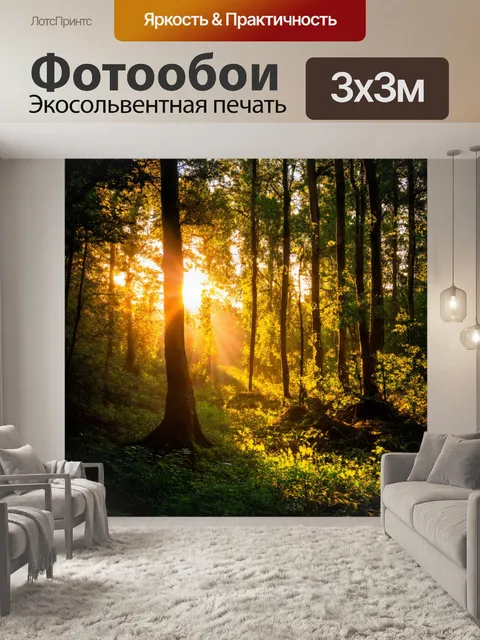 Фотообои закат в лесу, солнечные лучи пробиваются сквозь листву, завораживающий свет и тень