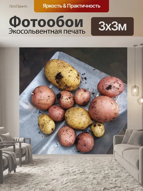 Фотообои Картошка