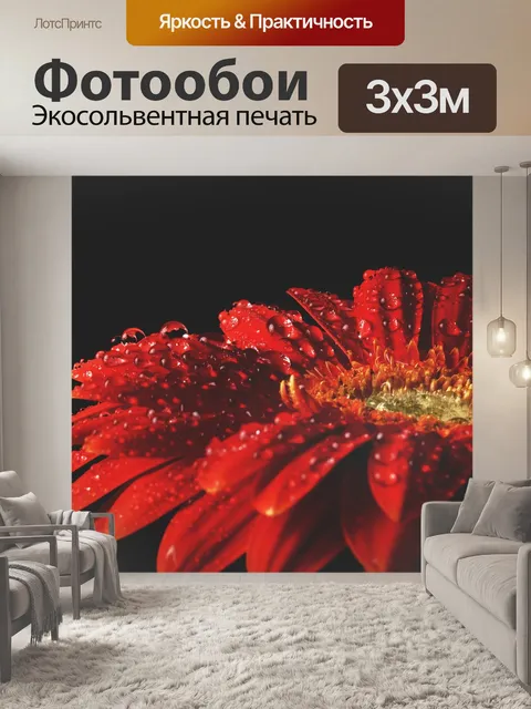 Фотообои Красная гербера