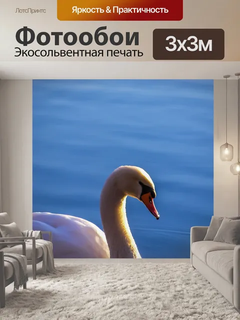 Фотообои Лебедь