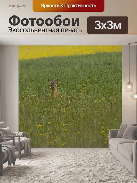 Фотообои Косуля